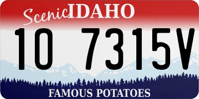ID license plate 1O7315V