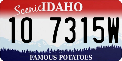 ID license plate 1O7315W