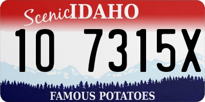 ID license plate 1O7315X