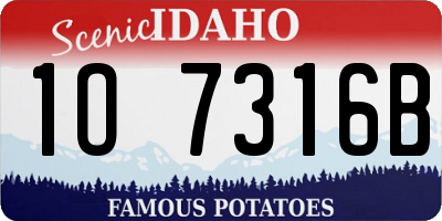 ID license plate 1O7316B