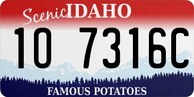 ID license plate 1O7316C