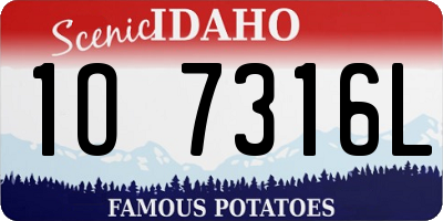 ID license plate 1O7316L