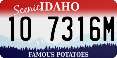 ID license plate 1O7316M