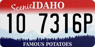 ID license plate 1O7316P