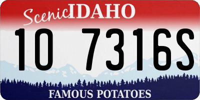 ID license plate 1O7316S