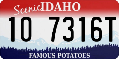 ID license plate 1O7316T