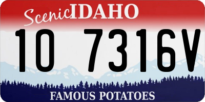 ID license plate 1O7316V