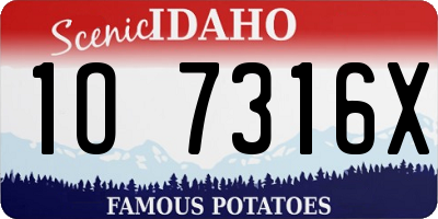 ID license plate 1O7316X
