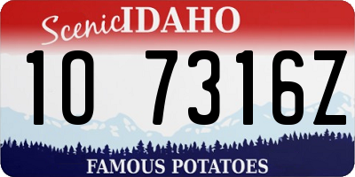 ID license plate 1O7316Z