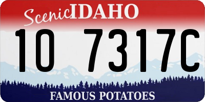 ID license plate 1O7317C
