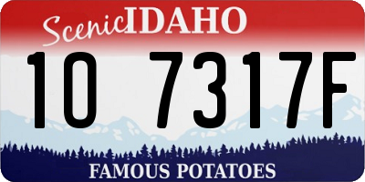 ID license plate 1O7317F