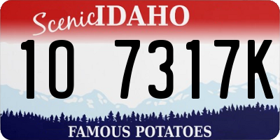 ID license plate 1O7317K