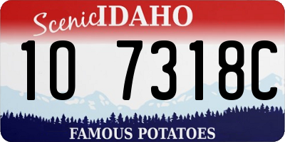 ID license plate 1O7318C