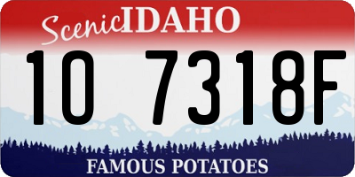 ID license plate 1O7318F