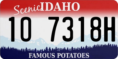 ID license plate 1O7318H