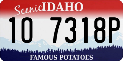 ID license plate 1O7318P