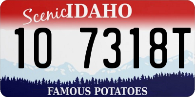 ID license plate 1O7318T