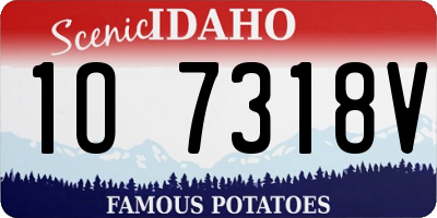 ID license plate 1O7318V