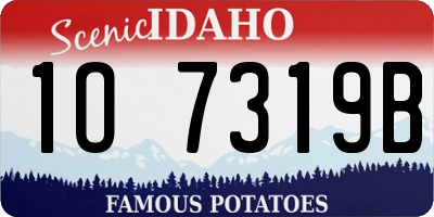 ID license plate 1O7319B