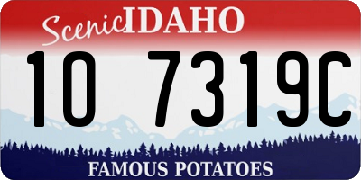 ID license plate 1O7319C