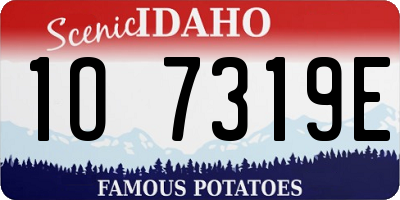 ID license plate 1O7319E