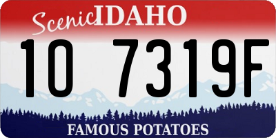 ID license plate 1O7319F