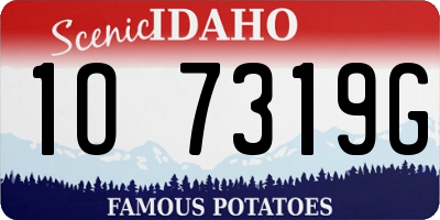 ID license plate 1O7319G