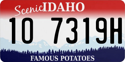 ID license plate 1O7319H