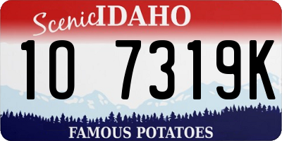 ID license plate 1O7319K