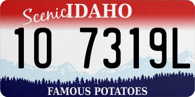 ID license plate 1O7319L