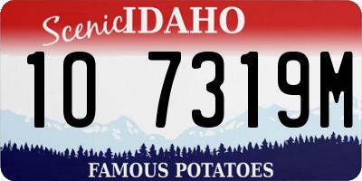 ID license plate 1O7319M