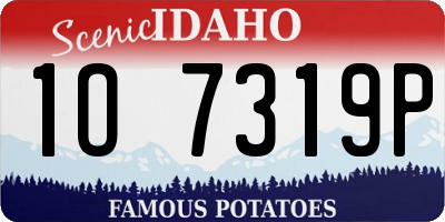 ID license plate 1O7319P