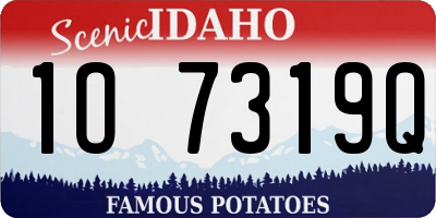 ID license plate 1O7319Q