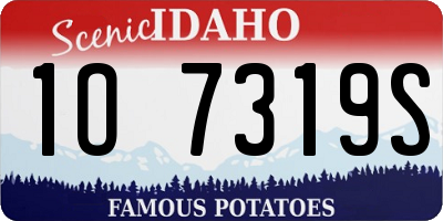 ID license plate 1O7319S
