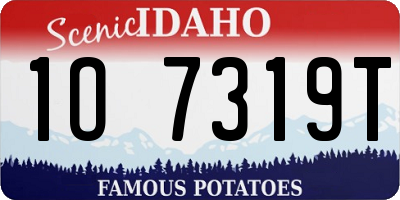 ID license plate 1O7319T