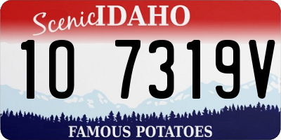 ID license plate 1O7319V
