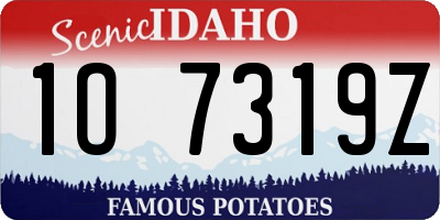 ID license plate 1O7319Z