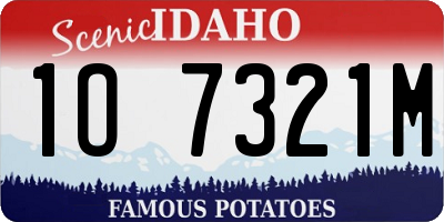 ID license plate 1O7321M