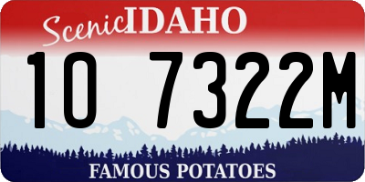 ID license plate 1O7322M