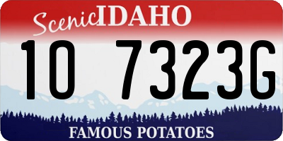 ID license plate 1O7323G