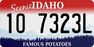 ID license plate 1O7323L