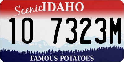 ID license plate 1O7323M