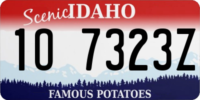 ID license plate 1O7323Z
