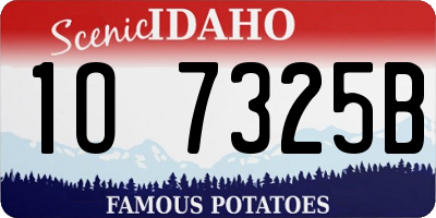 ID license plate 1O7325B