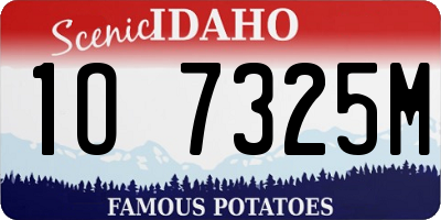 ID license plate 1O7325M