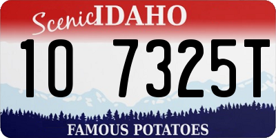 ID license plate 1O7325T