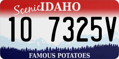 ID license plate 1O7325V