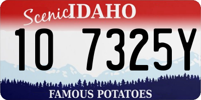 ID license plate 1O7325Y