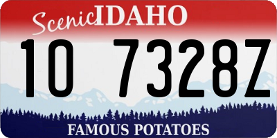 ID license plate 1O7328Z