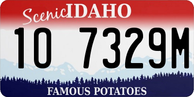 ID license plate 1O7329M